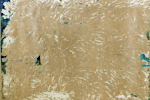 'Старый холст', 50 x 75, х.м., г. Владикавказ, 2011 г.